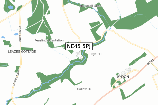 NE45 5PJ map - small scale - OS Open Zoomstack (Ordnance Survey)