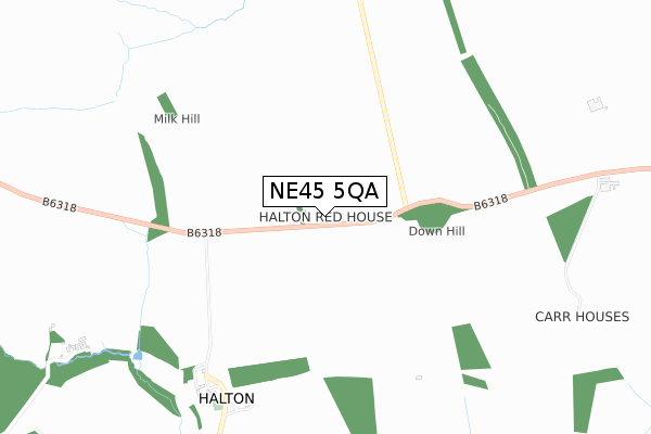 NE45 5QA map - small scale - OS Open Zoomstack (Ordnance Survey)
