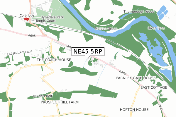 NE45 5RP map - small scale - OS Open Zoomstack (Ordnance Survey)
