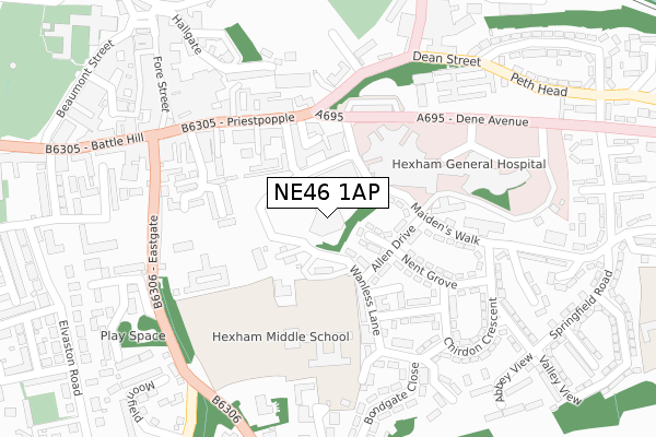 NE46 1AP map - large scale - OS Open Zoomstack (Ordnance Survey)