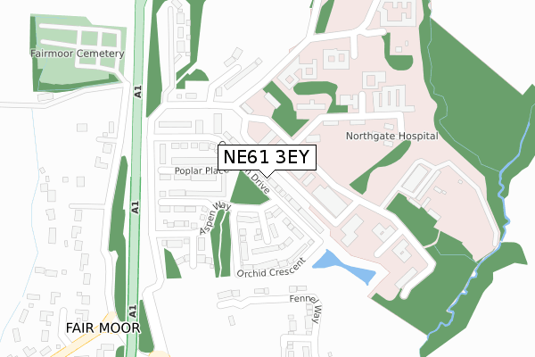 NE61 3EY map - large scale - OS Open Zoomstack (Ordnance Survey)