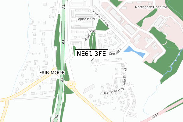 NE61 3FE map - large scale - OS Open Zoomstack (Ordnance Survey)