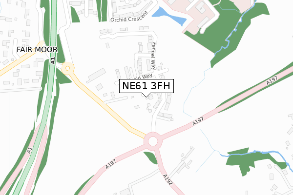 NE61 3FH map - large scale - OS Open Zoomstack (Ordnance Survey)