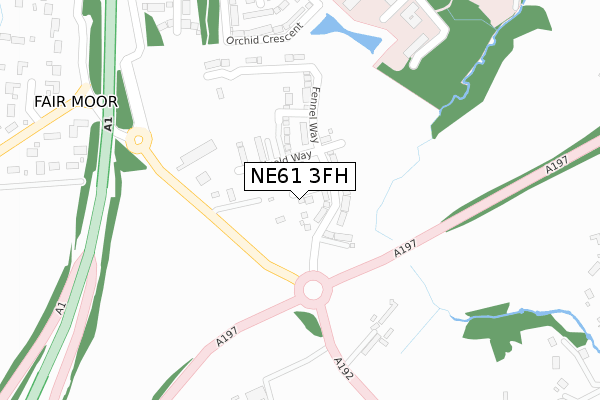 NE61 3FH map - large scale - OS Open Zoomstack (Ordnance Survey) NE61 3FH map - large scale - OS Open Zoomstack (Ordnance Survey)