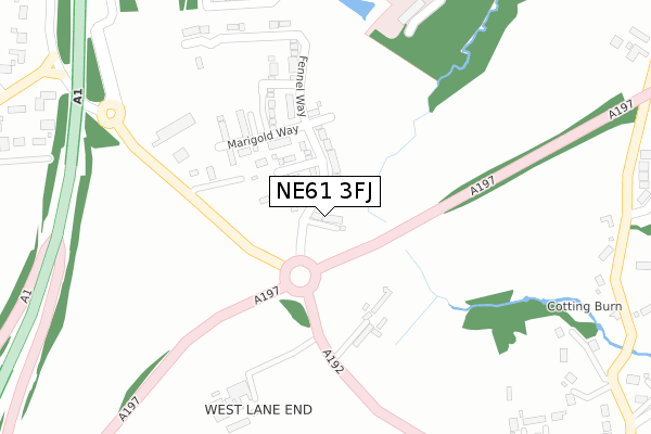 NE61 3FJ map - large scale - OS Open Zoomstack (Ordnance Survey)