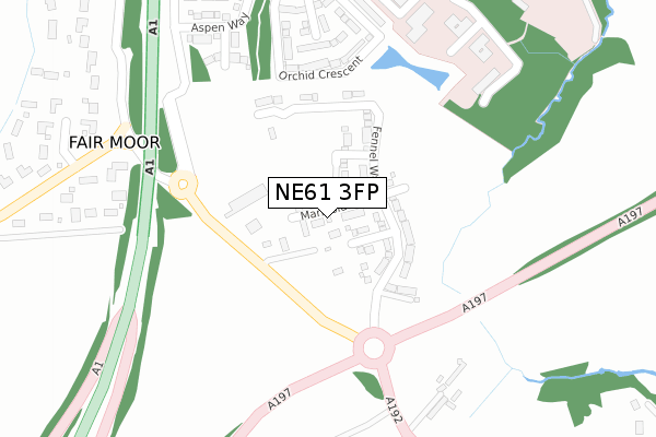 NE61 3FP map - large scale - OS Open Zoomstack (Ordnance Survey)