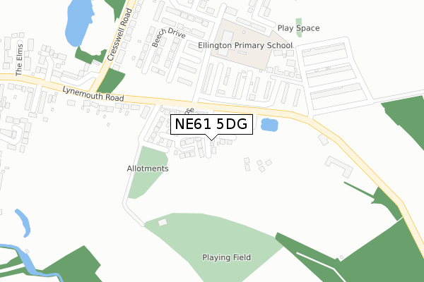 NE61 5DG map - large scale - OS Open Zoomstack (Ordnance Survey)