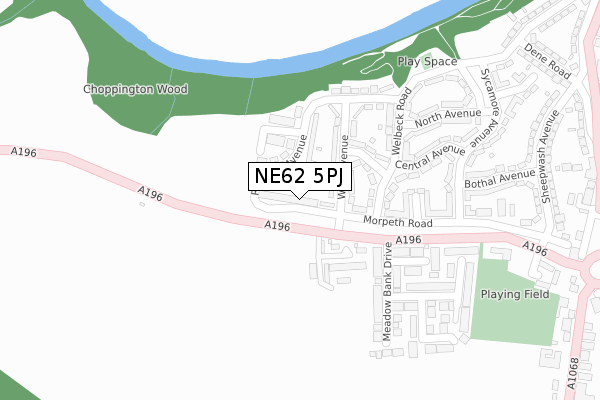 NE62 5PJ map - large scale - OS Open Zoomstack (Ordnance Survey)