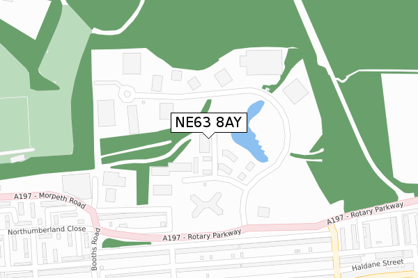 NE63 8AY map - large scale - OS Open Zoomstack (Ordnance Survey)