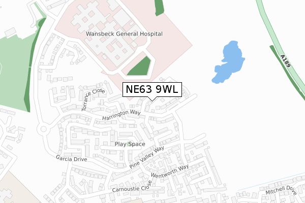 NE63 9WL map - large scale - OS Open Zoomstack (Ordnance Survey)