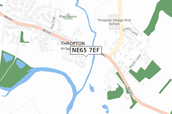 NE65 7EF map - large scale - OS Open Zoomstack (Ordnance Survey)