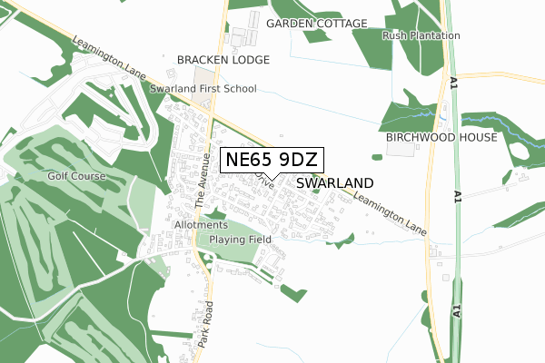 NE65 9DZ map - small scale - OS Open Zoomstack (Ordnance Survey)