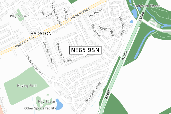 NE65 9SN map - large scale - OS Open Zoomstack (Ordnance Survey)