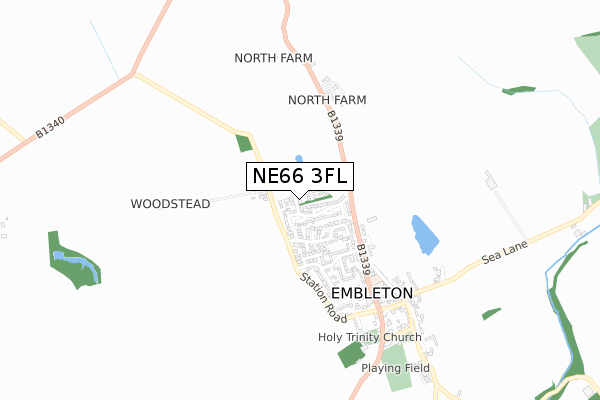 NE66 3FL map - small scale - OS Open Zoomstack (Ordnance Survey)