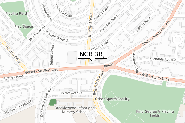 NG8 3BJ map - large scale - OS Open Zoomstack (Ordnance Survey) NG8 3BJ map - large scale - OS Open Zoomstack (Ordnance Survey)