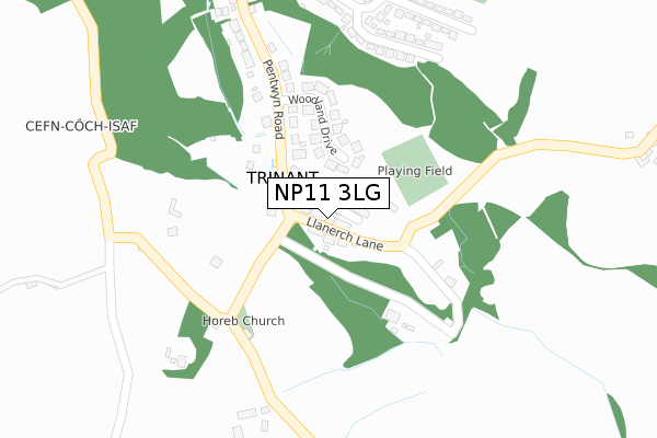 NP11 3LG map - large scale - OS Open Zoomstack (Ordnance Survey)