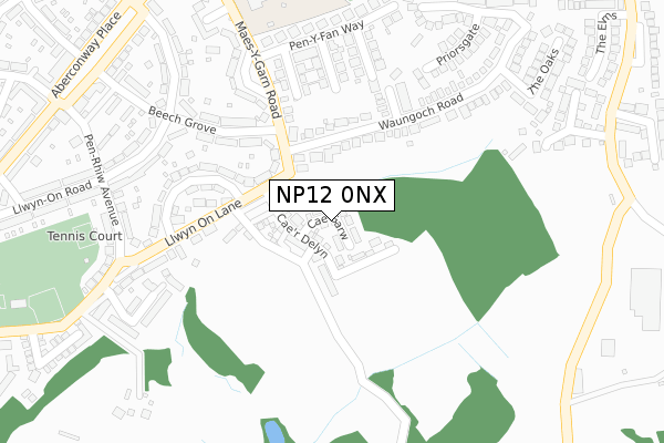 NP12 0NX map - large scale - OS Open Zoomstack (Ordnance Survey)