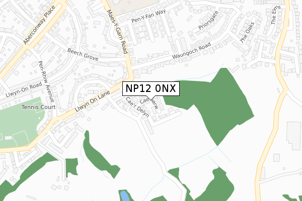 NP12 0NX map - large scale - OS Open Zoomstack (Ordnance Survey) NP12 0NX map - large scale - OS Open Zoomstack (Ordnance Survey)