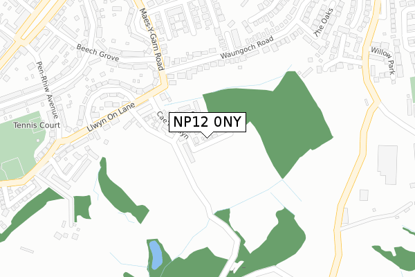 NP12 0NY map - large scale - OS Open Zoomstack (Ordnance Survey) NP12 0NY map - large scale - OS Open Zoomstack (Ordnance Survey)