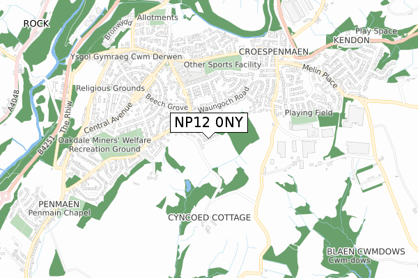 NP12 0NY map - small scale - OS Open Zoomstack (Ordnance Survey) NP12 0NY map - small scale - OS Open Zoomstack (Ordnance Survey)
