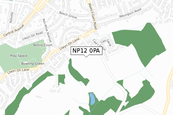 NP12 0PA map - large scale - OS Open Zoomstack (Ordnance Survey)