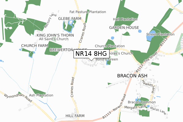 NR14 8HG map - small scale - OS Open Zoomstack (Ordnance Survey)