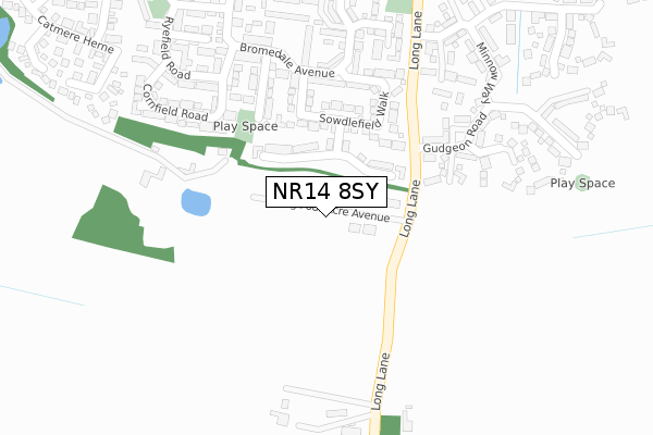 NR14 8SY map - large scale - OS Open Zoomstack (Ordnance Survey)