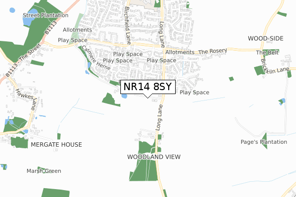 NR14 8SY map - small scale - OS Open Zoomstack (Ordnance Survey)