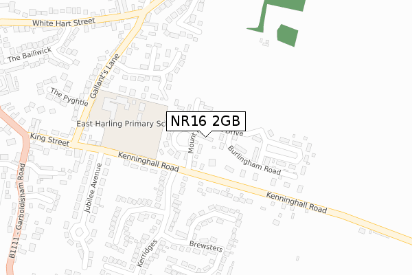 NR16 2GB map - large scale - OS Open Zoomstack (Ordnance Survey)