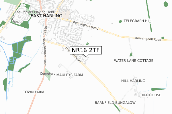 NR16 2TF map - small scale - OS Open Zoomstack (Ordnance Survey)