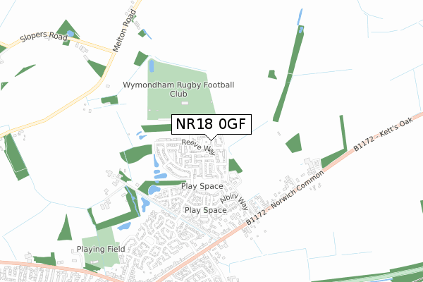 NR18 0GF map - small scale - OS Open Zoomstack (Ordnance Survey)