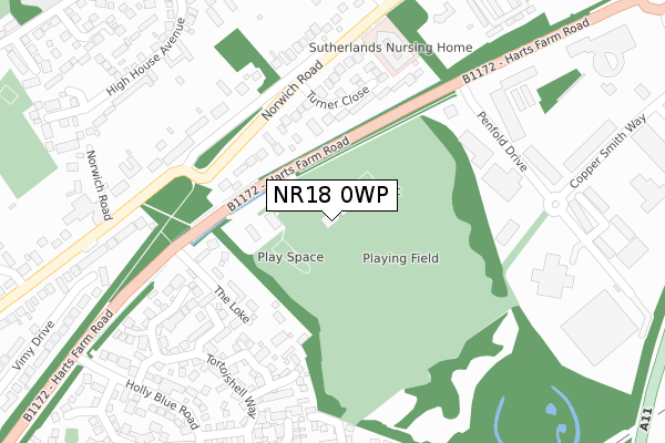 NR18 0WP map - large scale - OS Open Zoomstack (Ordnance Survey)