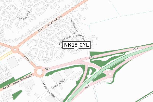 NR18 0YL map - large scale - OS Open Zoomstack (Ordnance Survey)