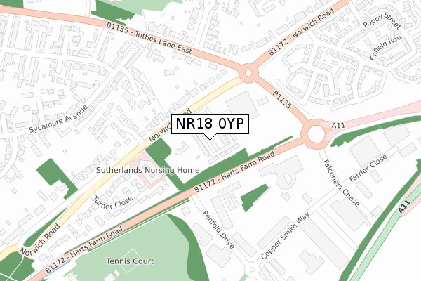 NR18 0YP map - large scale - OS Open Zoomstack (Ordnance Survey)