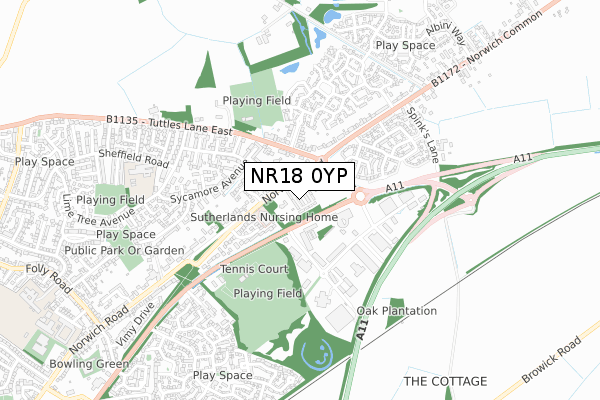 NR18 0YP map - small scale - OS Open Zoomstack (Ordnance Survey)