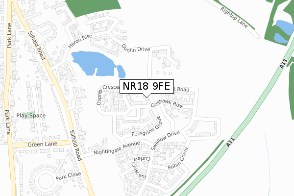 NR18 9FE map - large scale - OS Open Zoomstack (Ordnance Survey)