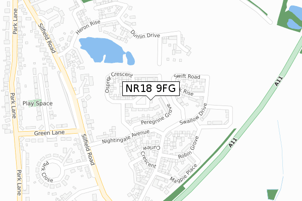 NR18 9FG map - large scale - OS Open Zoomstack (Ordnance Survey)