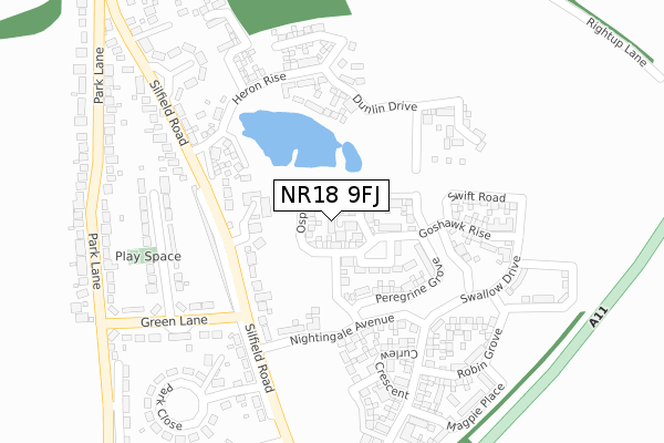 NR18 9FJ map - large scale - OS Open Zoomstack (Ordnance Survey) NR18 9FJ map - large scale - OS Open Zoomstack (Ordnance Survey)