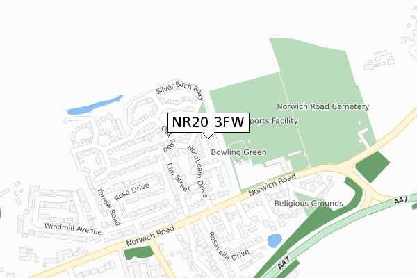 NR20 3FW map - large scale - OS Open Zoomstack (Ordnance Survey)