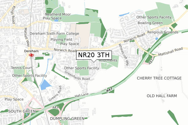 NR20 3TH map - small scale - OS Open Zoomstack (Ordnance Survey)