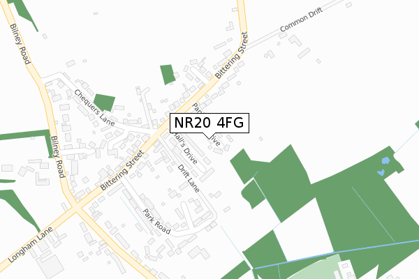 NR20 4FG map - large scale - OS Open Zoomstack (Ordnance Survey)