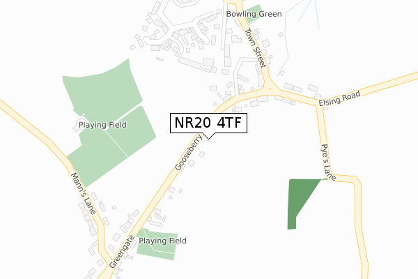 NR20 4TF map - large scale - OS Open Zoomstack (Ordnance Survey) NR20 4TF map - large scale - OS Open Zoomstack (Ordnance Survey)