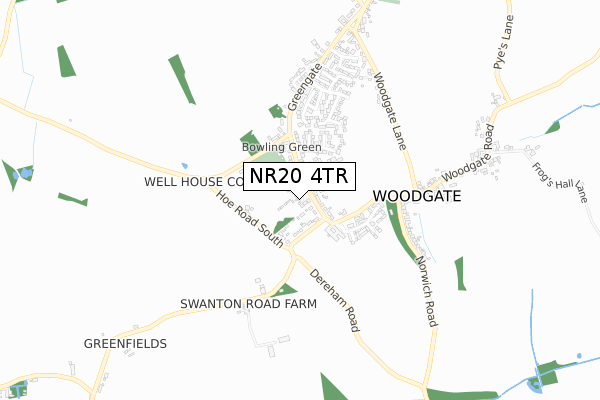 NR20 4TR map - small scale - OS Open Zoomstack (Ordnance Survey)