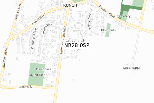 NR28 0SP map - large scale - OS Open Zoomstack (Ordnance Survey)