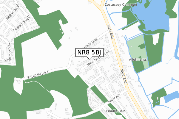 NR8 5BJ map - large scale - OS Open Zoomstack (Ordnance Survey)