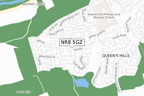 NR8 5GZ map - large scale - OS Open Zoomstack (Ordnance Survey)