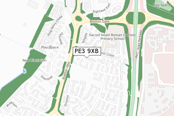 PE3 9XB map - large scale - OS Open Zoomstack (Ordnance Survey)