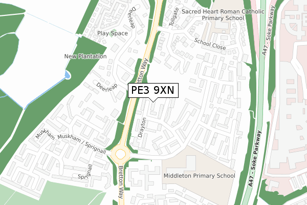 PE3 9XN map - large scale - OS Open Zoomstack (Ordnance Survey)
