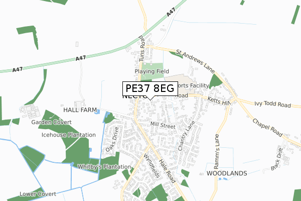 PE37 8EG map - small scale - OS Open Zoomstack (Ordnance Survey)