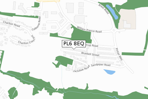 PL6 8EQ map - large scale - OS Open Zoomstack (Ordnance Survey) PL6 8EQ map - large scale - OS Open Zoomstack (Ordnance Survey)